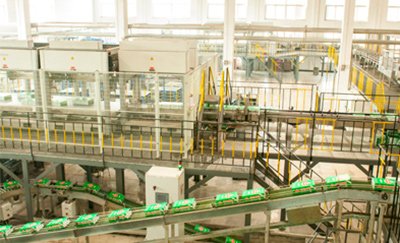 9001诚信金沙(中国)品牌公司